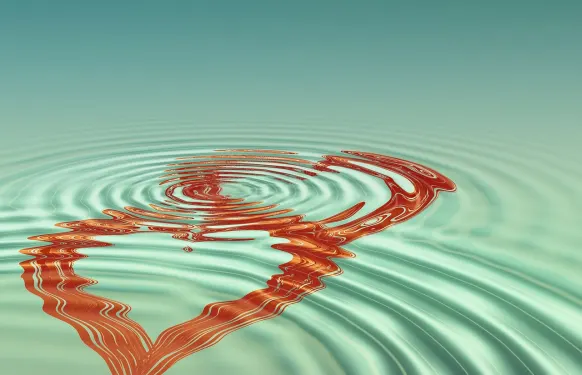 Casino Barbados Bingo Podrška